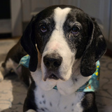 Entry image for Edgar