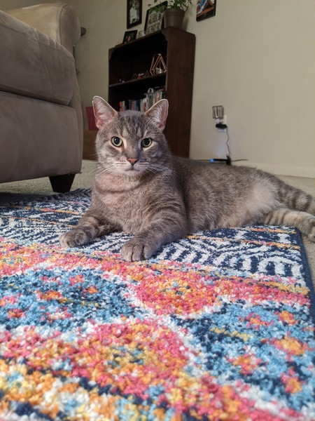 Entry image for Hunter. Clicking this image will show a larger photo