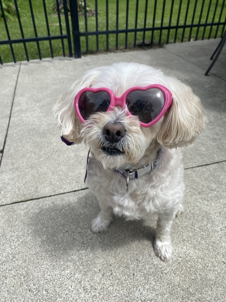 Entry image for Finnie. Clicking this image will show a larger photo