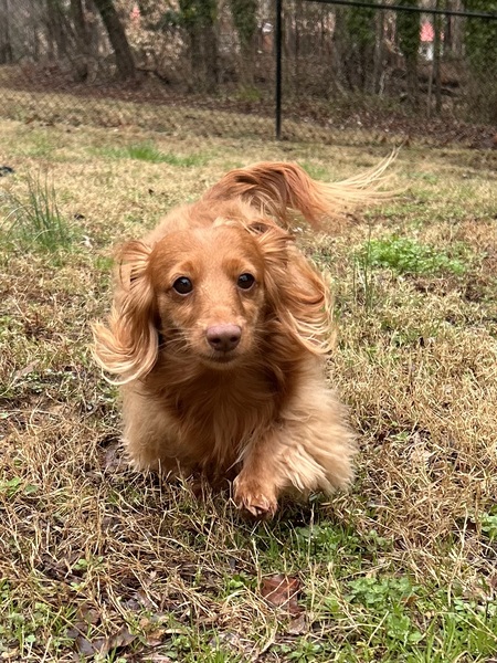 Entry image for Tucker. Clicking this image will show a larger photo