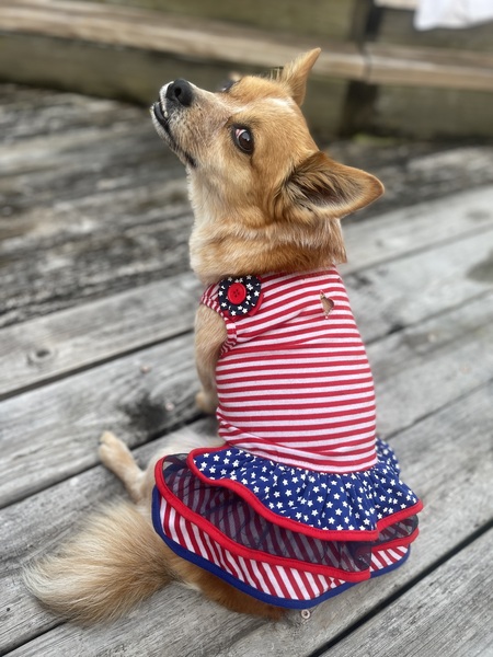 Entry image for Bubbles. Clicking this image will show a larger photo