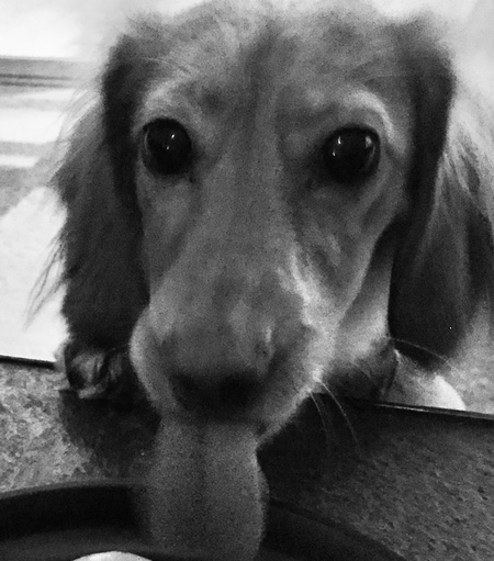 Entry image for Milby. Clicking this image will show a larger photo