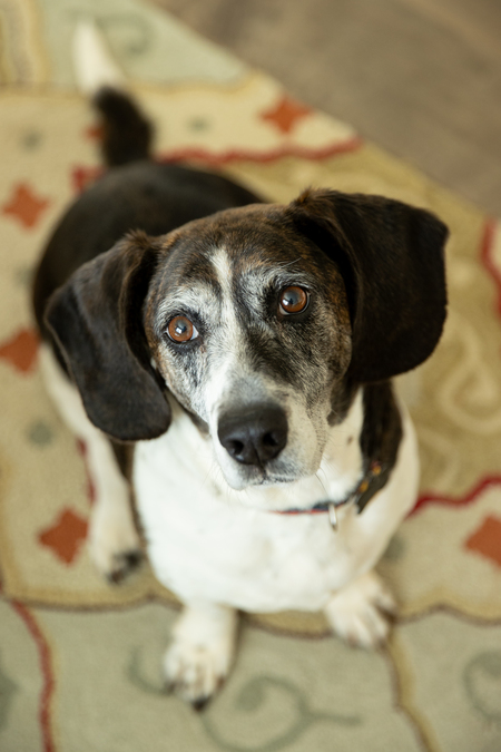 Entry image for Tessie. Clicking this image will show a larger photo