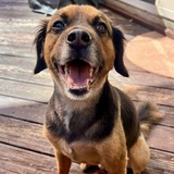 Entry image for Owen