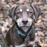 Entry image for Siena