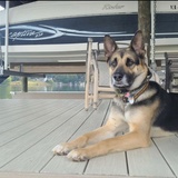 Entry image for Ronnie 