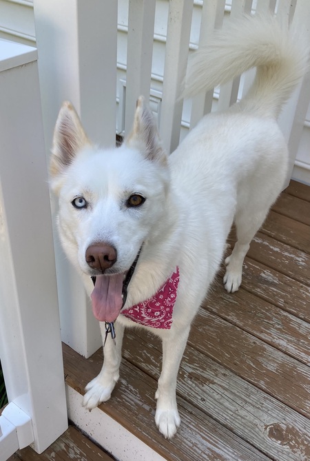 Entry image for Luzzi. Clicking this image will show a larger photo