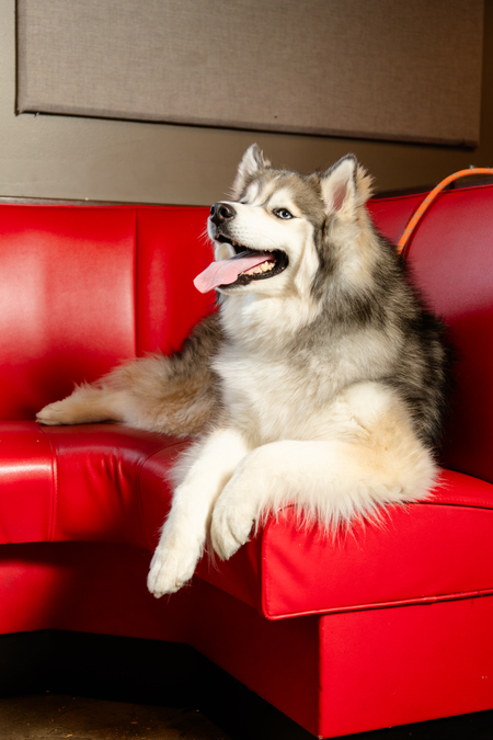 Entry image for Lilith. Clicking this image will show a larger photo