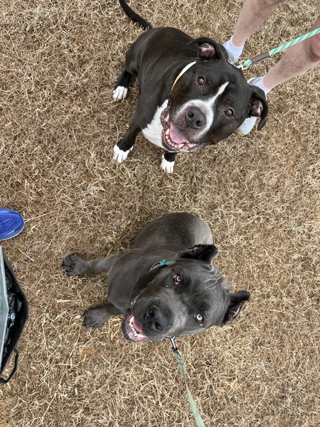 Entry image for Marshall Higgins . Clicking this image will show a larger photo