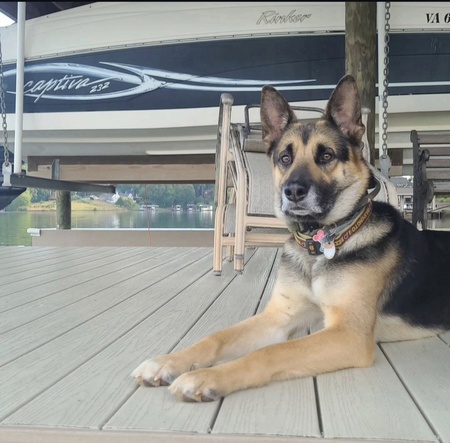 Entry image for Ronnie . Clicking this image will show a larger photo