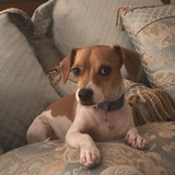 Entry image for Smalls