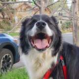 Entry image for Murphys