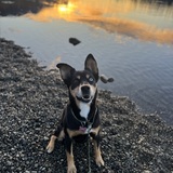 Entry image for Lucy