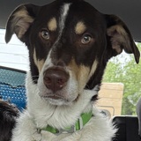 Entry image for Cashito