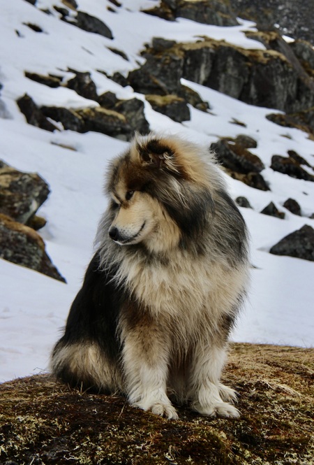 Entry image for Salem. Clicking this image will show a larger photo