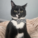 Entry image for Chrome Sweatshirt 