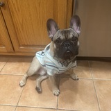 Entry image for Crash