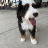 Entry image for Theo