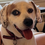 Entry image for Parker