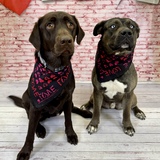 Entry image for Hope Jr. & Hunter