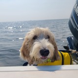 Entry image for Bunker