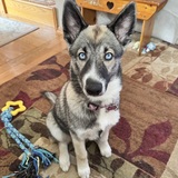 Entry image for Astrid