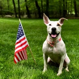 Entry image for Diamond