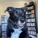 Entry image for Aspen