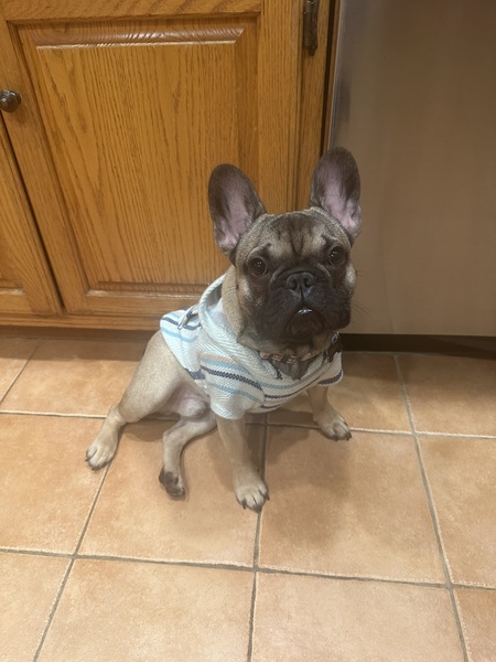 Entry image for Crash. Clicking this image will show a larger photo