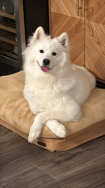 Entry image for Kaia. Clicking this image will show a larger photo