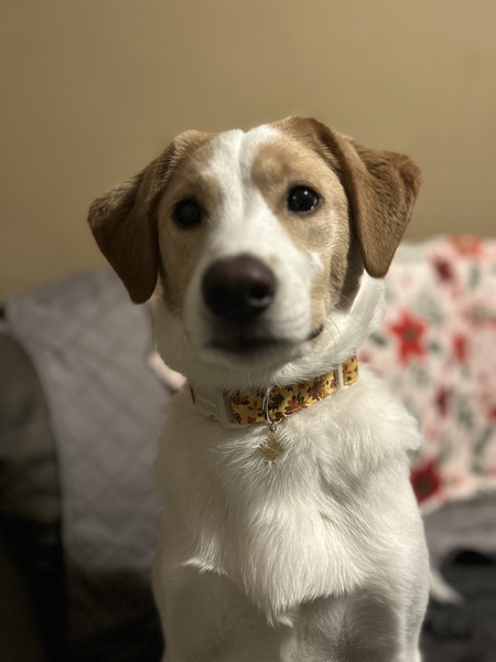 Entry image for Ridge. Clicking this image will show a larger photo