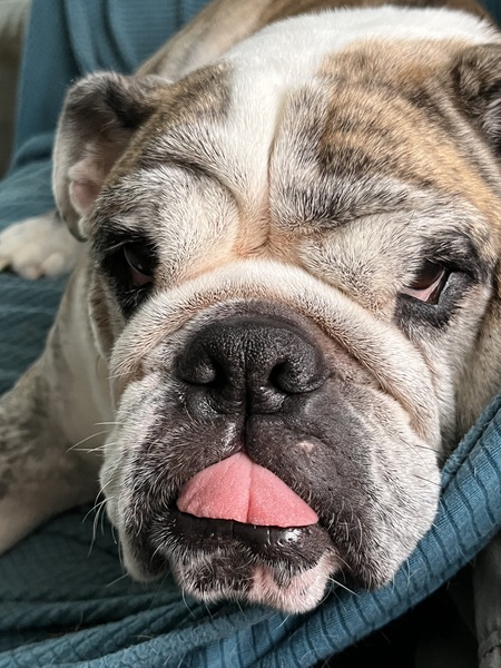 Entry image for Diesel. Clicking this image will show a larger photo