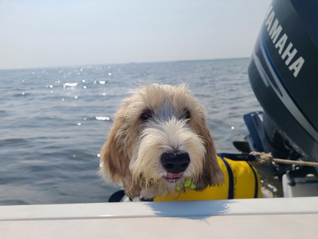 Entry image for Bunker. Clicking this image will show a larger photo