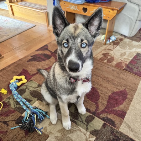 Entry image for Astrid. Clicking this image will show a larger photo