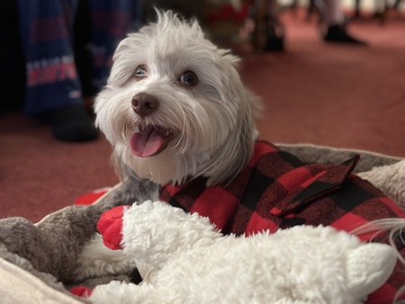 Entry image for Bleu. Clicking this image will show a larger photo