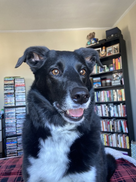 Entry image for Aspen. Clicking this image will show a larger photo