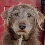 Entry image for Monty