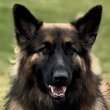 Entry image for Lexi