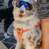 Entry image for Shawnee 