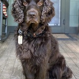 Entry image for Thatcher