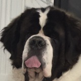 Entry image for Tank