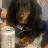 Entry image for Draco