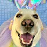 Entry image for Maggie