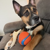 Entry image for Bentley 