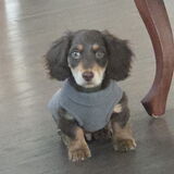 Entry image for Charlie Brown