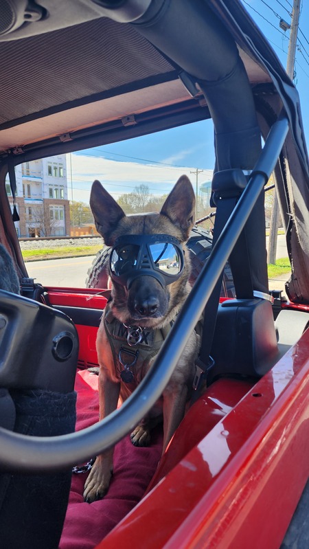 Entry image for Max. Clicking this image will show a larger photo