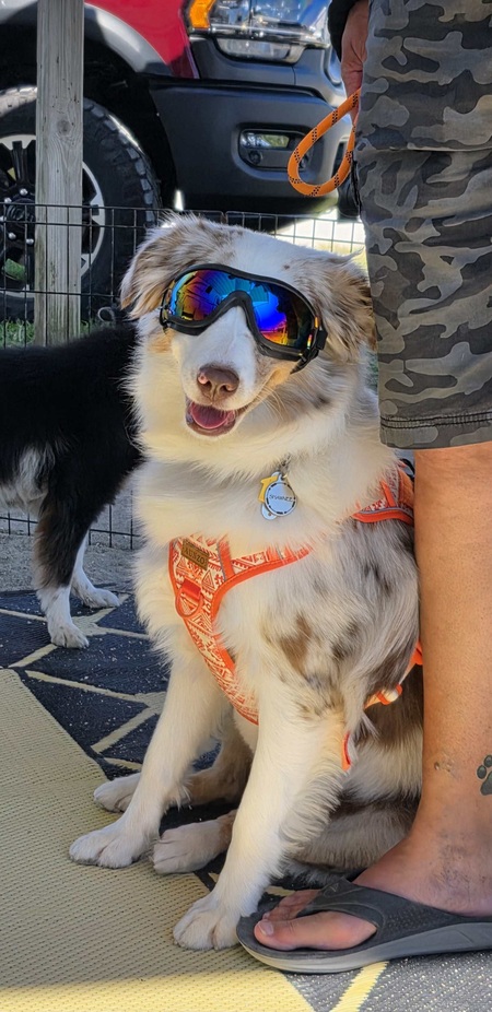 Entry image for Shawnee . Clicking this image will show a larger photo