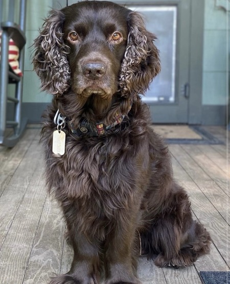 Entry image for Thatcher. Clicking this image will show a larger photo