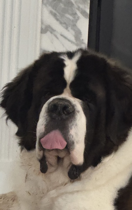 Entry image for Tank. Clicking this image will show a larger photo