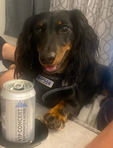 Entry image for Draco. Clicking this image will show a larger photo